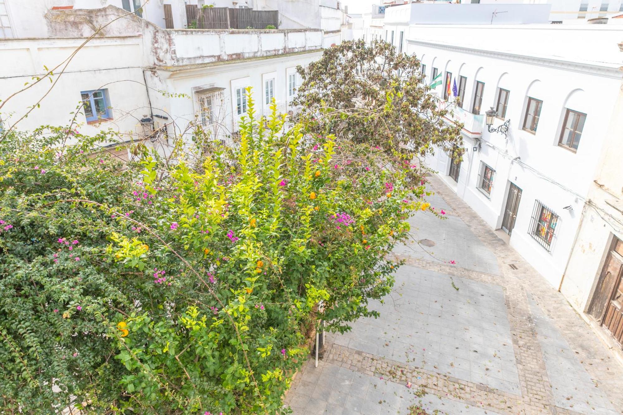Apartament Casa Acua De Aljaranda - De Diseno Casco Hist Tarifa Zewnętrze zdjęcie